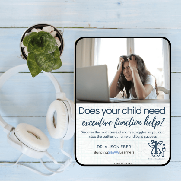 image of eBook titled "Does your child need executive function help?"